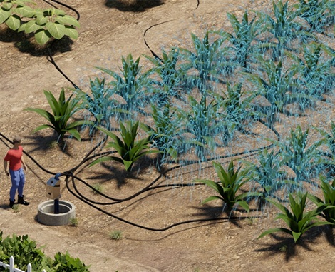 Animated image of person in a Hydropass irrigation field
