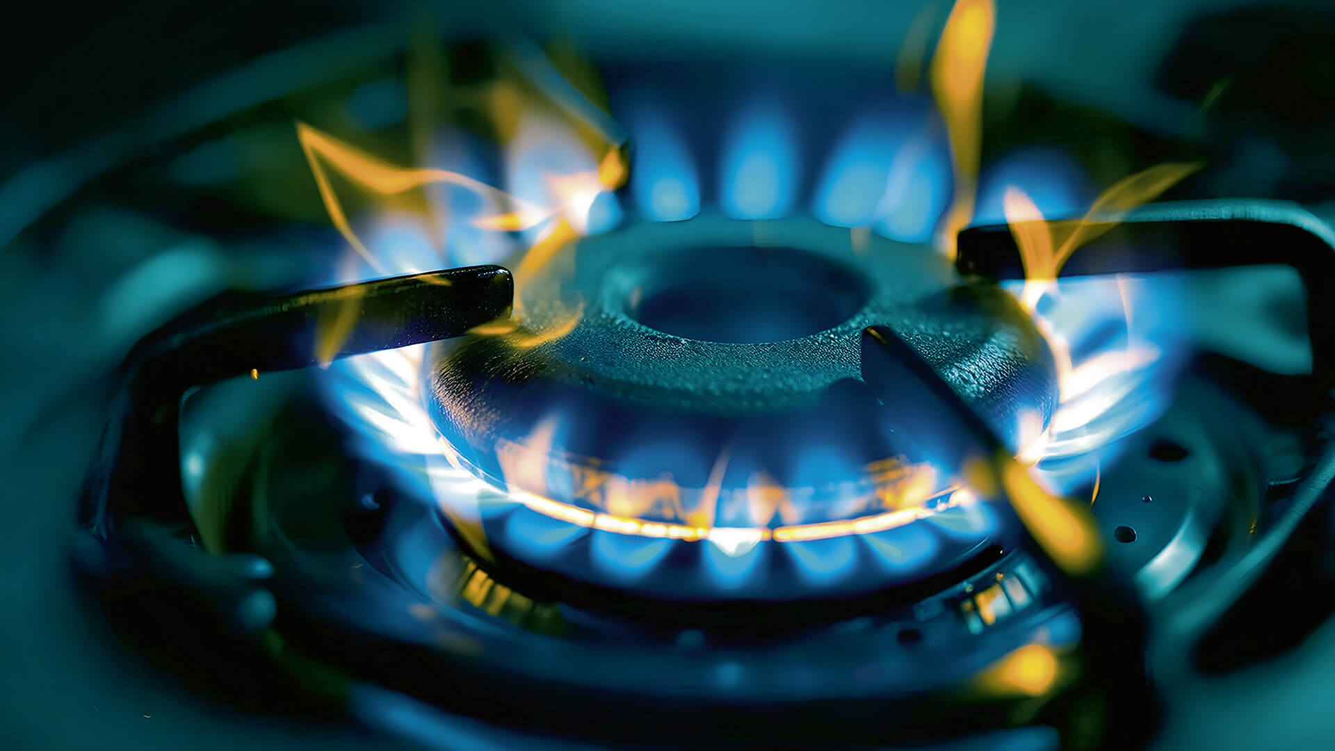 Gas supply segment