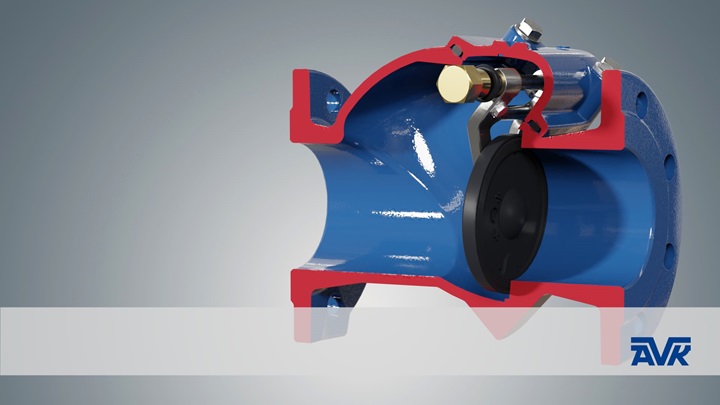Swing check valves - thumbnail